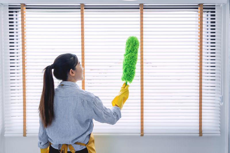 Townhouse Deep Cleaning in Renton, WA